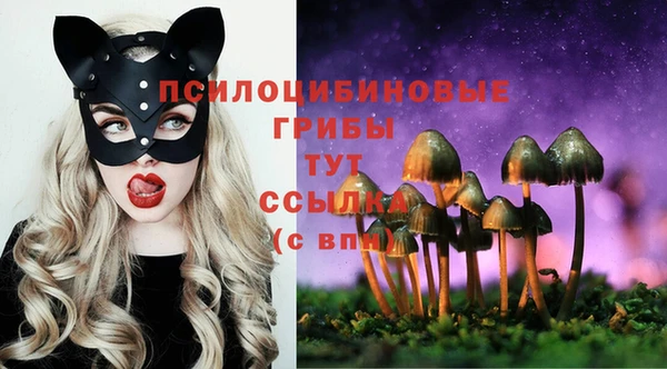 прущая мука Горняк