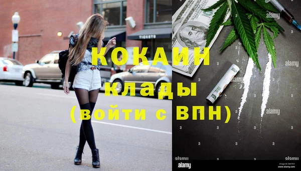 гидропоника Горнозаводск