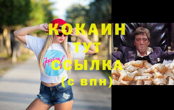 гидропоника Горнозаводск