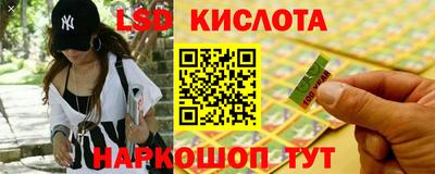 гашик Аргун