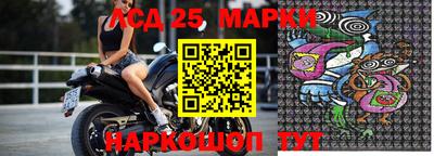 гашик Аргун