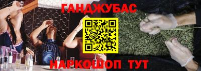 гашик Аргун